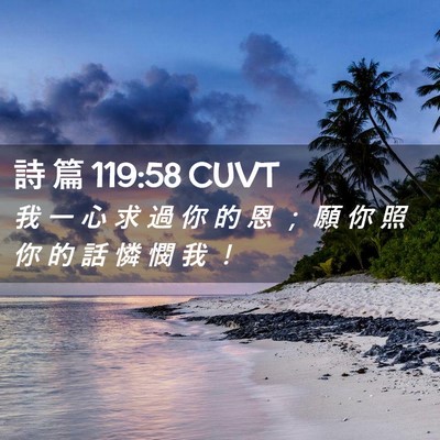 Picture 02 - 詩 篇 119:58 CUVT - 我 一 心 求 過 你 的 恩 ； 願 你 照 - Bible Verse Picture