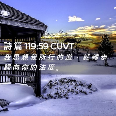 Picture 02 - 詩 篇 119:59 CUVT - 我 思 想 我 所 行 的 道 ， 就 轉 步 - Bible Verse Picture