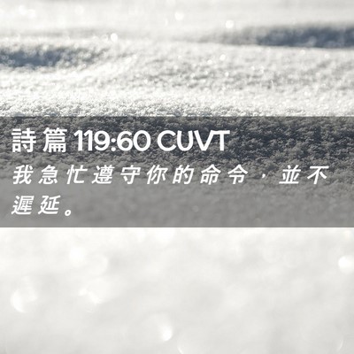 Picture 02 - 詩 篇 119:60 CUVT - 我 急 忙 遵 守 你 的 命 令 ， 並 不 - Bible Verse Picture