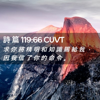 Picture 02 - 詩 篇 119:66 CUVT - 求 你 將 精 明 和 知 識 賜 給 我 ， - Bible Verse Picture