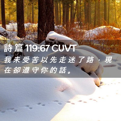 Picture 02 - 詩 篇 119:67 CUVT - 我 未 受 苦 以 先 走 迷 了 路 ， 現 - Bible Verse Picture