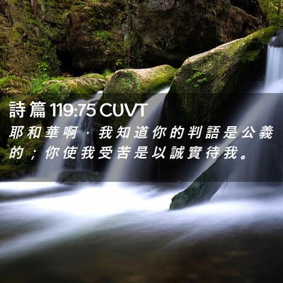 Picture 02 - 詩 篇 119:75 CUVT - 耶 和 華 啊 ， 我 知 道 你 的 判 語 - Bible Verse Picture