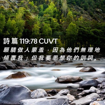 Picture 02 - 詩 篇 119:78 CUVT - 願 驕 傲 人 蒙 羞 ， 因 為 他 們 無 - Bible Verse Picture