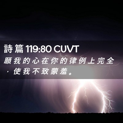 Picture 02 - 詩 篇 119:80 CUVT - 願 我 的 心 在 你 的 律 例 上 完 全 - Bible Verse Picture