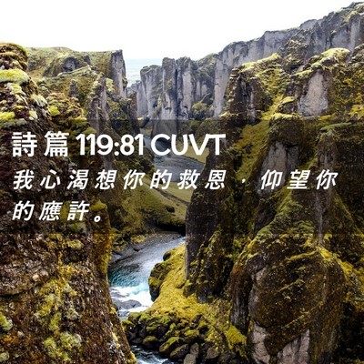 Picture 02 - 詩 篇 119:81 CUVT - 我 心 渴 想 你 的 救 恩 ， 仰 望 你 - Bible Verse Picture