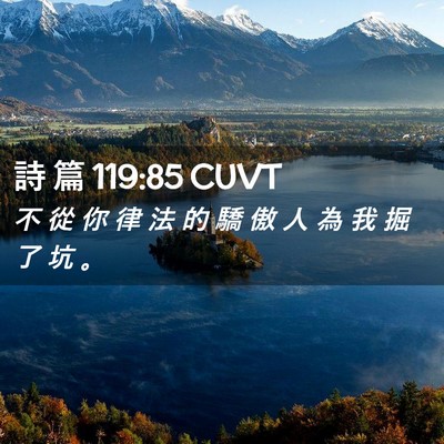 Picture 02 - 詩 篇 119:85 CUVT - 不 從 你 律 法 的 驕 傲 人 為 我 掘 - Bible Verse Picture