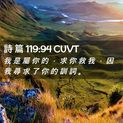 Picture 02 - 詩 篇 119:94 CUVT - 我 是 屬 你 的 ， 求 你 救 我 ， 因 - Bible Verse Picture