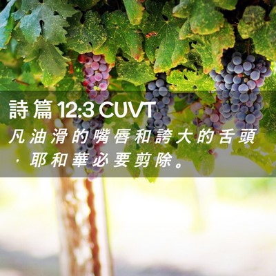 Picture 02 - 詩 篇 12:3 CUVT - 凡 油 滑 的 嘴 唇 和 誇 大 的 舌 頭 - Bible Verse Picture