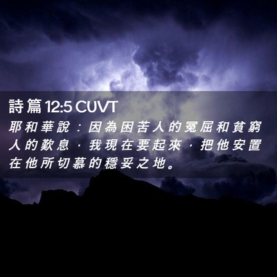 Picture 02 - 詩 篇 12:5 CUVT - 耶 和 華 說 ： 因 為 困 苦 人 的 冤 - Bible Verse Picture