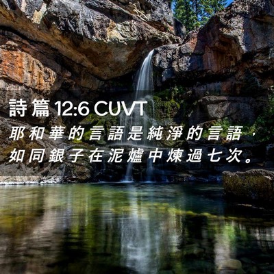 Picture 02 - 詩 篇 12:6 CUVT - 耶 和 華 的 言 語 是 純 淨 的 言 語 - Bible Verse Picture