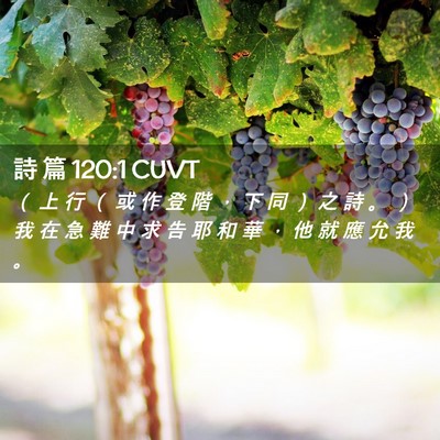 Picture 02 - 詩 篇 120:1 CUVT - （ 上 行 （ 或 作 登 階 ， 下 同 ） - Bible Verse Picture