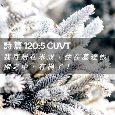 Picture 02 - 詩 篇 120:5 CUVT - 我 寄 居 在 米 設 ， 住 在 基 達 帳 - Bible Verse Picture