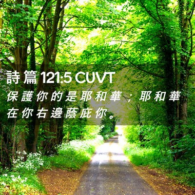Picture 02 - 詩 篇 121:5 CUVT - 保 護 你 的 是 耶 和 華 ； 耶 和 華 - Bible Verse Picture