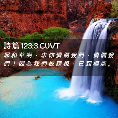 Picture 02 - 詩 篇 123:3 CUVT - 耶 和 華 啊 ， 求 你 憐 憫 我 們 ， - Bible Verse Picture