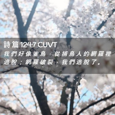 Picture 02 - 詩 篇 124:7 CUVT - 我 們 好 像 雀 鳥 ， 從 捕 鳥 人 的 - Bible Verse Picture