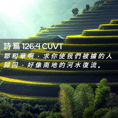 Picture 02 - 詩 篇 126:4 CUVT - 耶 和 華 啊 ， 求 你 使 我 們 被 擄 - Bible Verse Picture