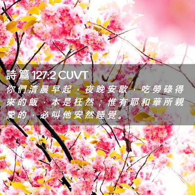 Picture 02 - 詩 篇 127:2 CUVT - 你 們 清 晨 早 起 ， 夜 晚 安 歇 ， - Bible Verse Picture