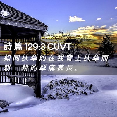 Picture 02 - 詩 篇 129:3 CUVT - 如 同 扶 犁 的 在 我 背 上 扶 犁 而 - Bible Verse Picture