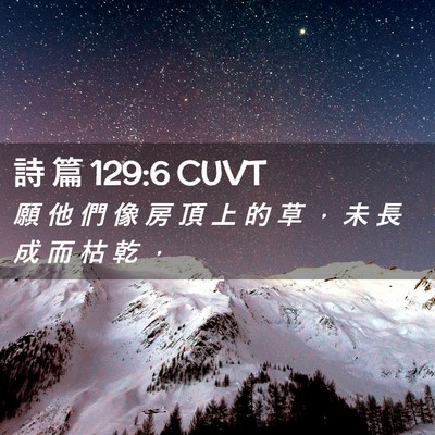 Picture 02 - 詩 篇 129:6 CUVT - 願 他 們 像 房 頂 上 的 草 ， 未 長 - Bible Verse Picture