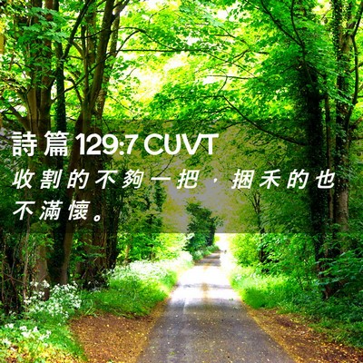 Picture 02 - 詩 篇 129:7 CUVT - 收 割 的 不 夠 一 把 ， 捆 禾 的 也 - Bible Verse Picture