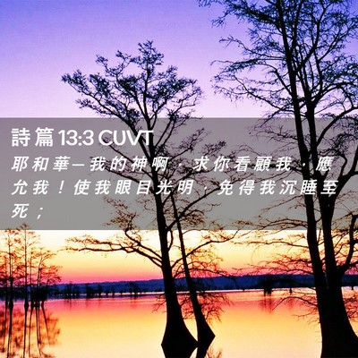 Picture 02 - 詩 篇 13:3 CUVT - 耶 和 華 ─ 我 的 神 啊 ， 求 你 看 - Bible Verse Picture