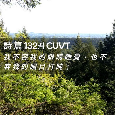 Picture 02 - 詩 篇 132:4 CUVT - 我 不 容 我 的 眼 睛 睡 覺 ， 也 不 - Bible Verse Picture