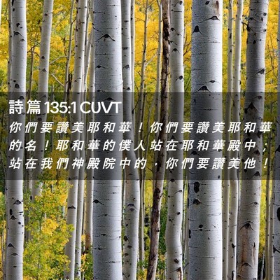 Picture 02 - 詩 篇 135:1 CUVT - 你 們 要 讚 美 耶 和 華 ！ 你 們 要 - Bible Verse Picture