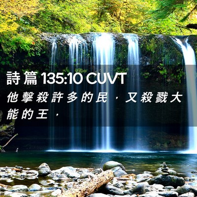 Picture 02 - 詩 篇 135:10 CUVT - 他 擊 殺 許 多 的 民 ， 又 殺 戮 大 - Bible Verse Picture