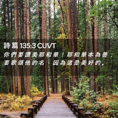 Picture 02 - 詩 篇 135:3 CUVT - 你 們 要 讚 美 耶 和 華 ！ 耶 和 華 - Bible Verse Picture
