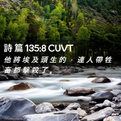 Picture 02 - 詩 篇 135:8 CUVT - 他 將 埃 及 頭 生 的 ， 連 人 帶 牲 - Bible Verse Picture
