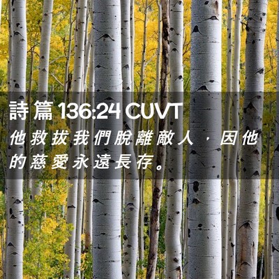 Picture 02 - 詩 篇 136:24 CUVT - 他 救 拔 我 們 脫 離 敵 人 ， 因 他 - Bible Verse Picture