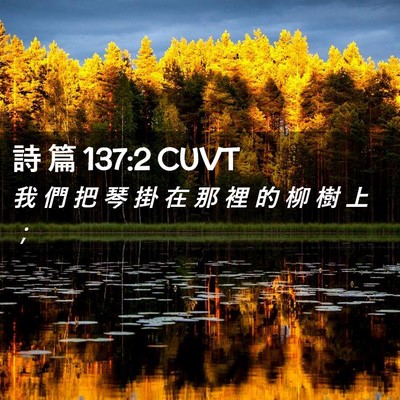 Picture 02 - 詩 篇 137:2 CUVT - 我 們 把 琴 掛 在 那 裡 的 柳 樹 上 - Bible Verse Picture