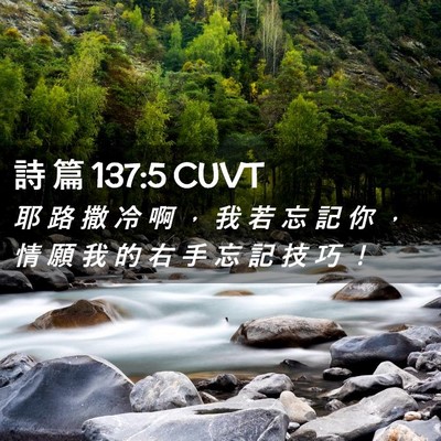 Picture 02 - 詩 篇 137:5 CUVT - 耶 路 撒 冷 啊 ， 我 若 忘 記 你 ， - Bible Verse Picture