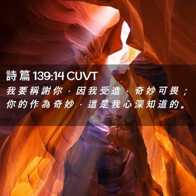 Picture 02 - 詩 篇 139:14 CUVT - 我 要 稱 謝 你 ， 因 我 受 造 ， 奇 - Bible Verse Picture
