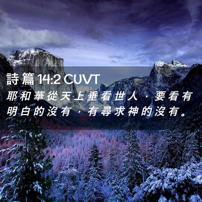 Picture 02 - 詩 篇 14:2 CUVT - 耶 和 華 從 天 上 垂 看 世 人 ， 要 - Bible Verse Picture