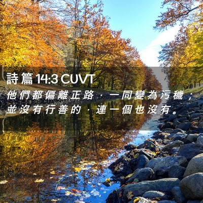 Picture 02 - 詩 篇 14:3 CUVT - 他 們 都 偏 離 正 路 ， 一 同 變 為 - Bible Verse Picture