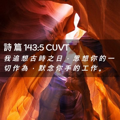 Picture 02 - 詩 篇 143:5 CUVT - 我 追 想 古 時 之 日 ， 思 想 你 的 - Bible Verse Picture