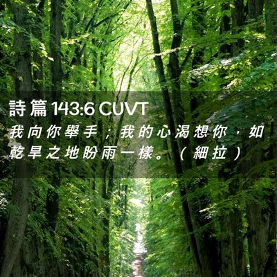 Picture 02 - 詩 篇 143:6 CUVT - 我 向 你 舉 手 ； 我 的 心 渴 想 你 - Bible Verse Picture
