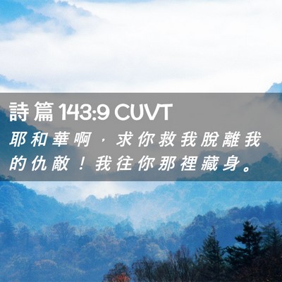 Picture 02 - 詩 篇 143:9 CUVT - 耶 和 華 啊 ， 求 你 救 我 脫 離 我 - Bible Verse Picture
