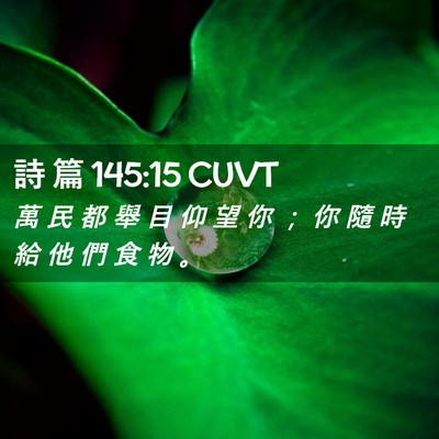 Picture 02 - 詩 篇 145:15 CUVT - 萬 民 都 舉 目 仰 望 你 ； 你 隨 時 - Bible Verse Picture