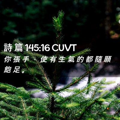 Picture 02 - 詩 篇 145:16 CUVT - 你 張 手 ， 使 有 生 氣 的 都 隨 願 - Bible Verse Picture