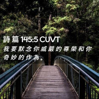 Picture 02 - 詩 篇 145:5 CUVT - 我 要 默 念 你 威 嚴 的 尊 榮 和 你 - Bible Verse Picture