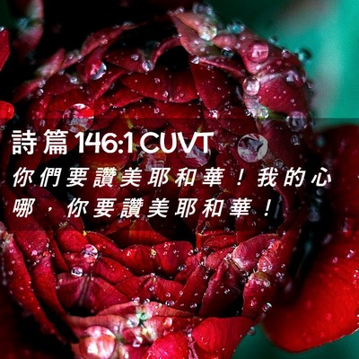 Picture 02 - 詩 篇 146:1 CUVT - 你 們 要 讚 美 耶 和 華 ！ 我 的 心 - Bible Verse Picture