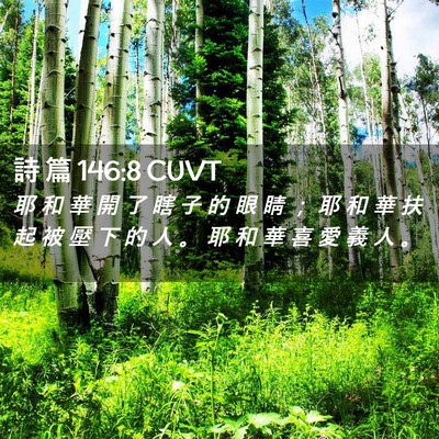 Picture 02 - 詩 篇 146:8 CUVT - 耶 和 華 開 了 瞎 子 的 眼 睛 ； 耶 - Bible Verse Picture