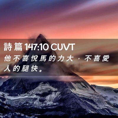 Picture 02 - 詩 篇 147:10 CUVT - 他 不 喜 悅 馬 的 力 大 ， 不 喜 愛 - Bible Verse Picture
