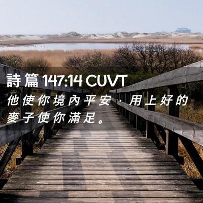 Picture 02 - 詩 篇 147:14 CUVT - 他 使 你 境 內 平 安 ， 用 上 好 的 - Bible Verse Picture