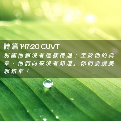 Picture 02 - 詩 篇 147:20 CUVT - 別 國 他 都 沒 有 這 樣 待 過 ； 至 - Bible Verse Picture