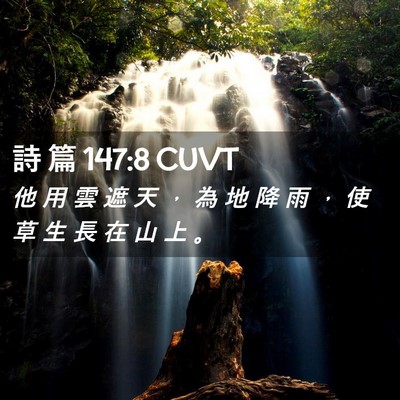 Picture 02 - 詩 篇 147:8 CUVT - 他 用 雲 遮 天 ， 為 地 降 雨 ， 使 - Bible Verse Picture