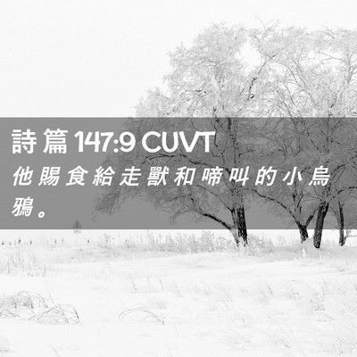 Picture 02 - 詩 篇 147:9 CUVT - 他 賜 食 給 走 獸 和 啼 叫 的 小 烏 - Bible Verse Picture