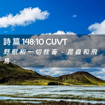 Picture 02 - 詩 篇 148:10 CUVT - 野 獸 和 一 切 牲 畜 ， 昆 蟲 和 飛 - Bible Verse Picture